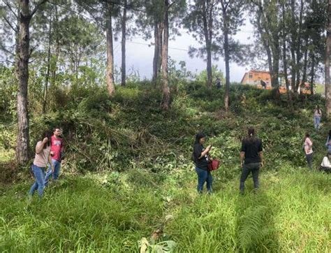 35 properties for sale in La Trinidad, Benguet .